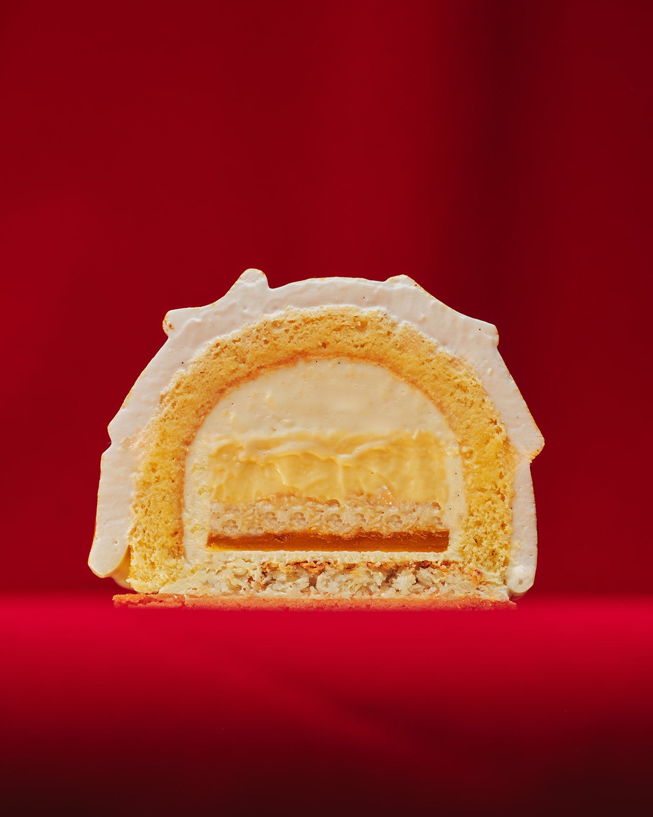 Maggio's Christmas Log